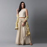 Gold Buta Print Skirt, Gold Striper Print Blouse and Contras Frill Dupatta Set